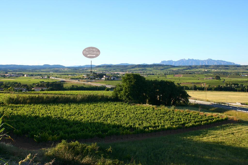 Bed & Breakfast Wine & Cooking Penedès Pla del Panadés Exterior foto